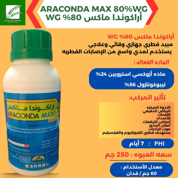 WhatsApp Image 2024-06-06 at 2.02.53 PM (1)