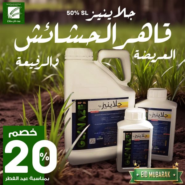 495204807_1121521166668246_1667457760723778184_n